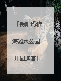 衡阳玛雅海滩水公园开园迎客