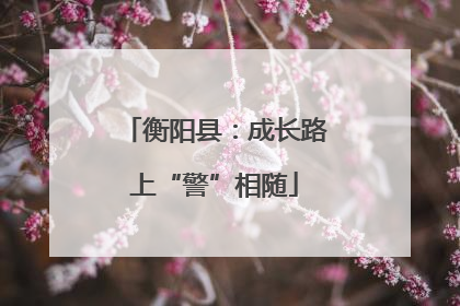 衡阳县：成长路上“警”相随