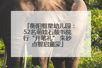 衡阳智星幼儿园：52名萌娃石鼓书院行“开笔礼” 朱砂点智启童蒙