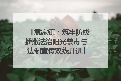 袁家镇：筑牢防线播撒法治阳光禁毒与法制宣传双线并进