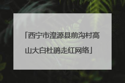 西宁市湟源县前沟村高山大白杜鹃走红网络