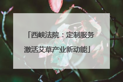 西峡法院：定制服务激活艾草产业新动能