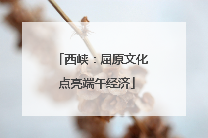 西峡：屈原文化点亮端午经济