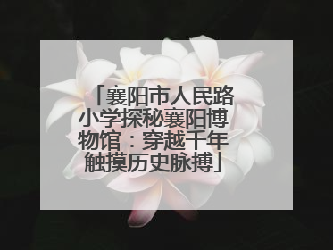 襄阳市人民路小学探秘襄阳博物馆：穿越千年触摸历史脉搏