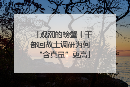 观潮的螃蟹丨干部回故土调研为何“含真量”更高