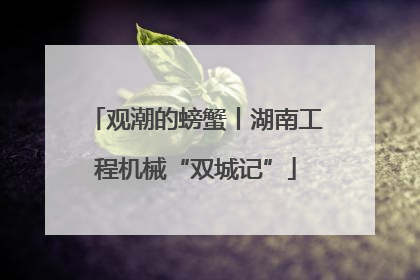 观潮的螃蟹丨湖南工程机械“双城记”