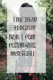 角门东里三社区治理探索｜代建代管推动荒地变花园