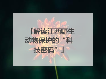 解读江西野生动物保护的“科技密码”