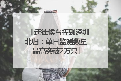 迁徙候鸟挥别深圳北归：单日监测数量最高突破2万只