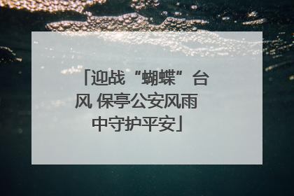 迎战“蝴蝶”台风 保亭公安风雨中守护平安