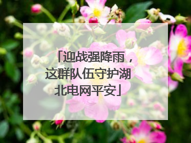 迎战强降雨，这群队伍守护湖北电网平安