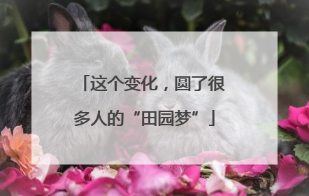 这个变化，圆了很多人的“田园梦”
