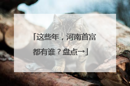 这些年，河南首富都有谁？盘点→
