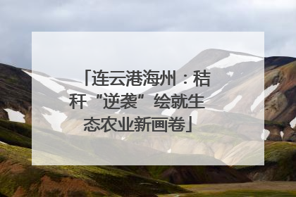 连云港海州：秸秆“逆袭”绘就生态农业新画卷