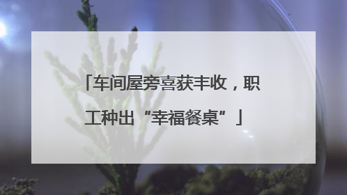 车间屋旁喜获丰收，职工种出“幸福餐桌”