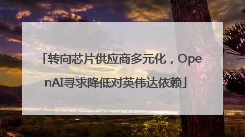 转向芯片供应商多元化，OpenAI寻求降低对英伟达依赖