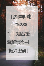边疆明珠“5288”，烟台援藏解锁乡村振兴密码