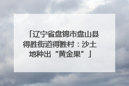 辽宁省盘锦市盘山县得胜街道得胜村：沙土地种出“黄金果”