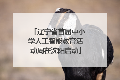 辽宁省首届中小学人工智能教育活动周在沈阳启动