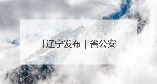 辽宁发布｜省公安厅出台15项举措助力全面振兴新突破三年行动决胜之战