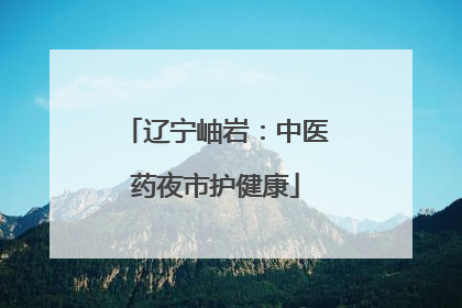 辽宁岫岩：中医药夜市护健康