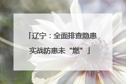 辽宁：全面排查隐患 实战防患未“燃”