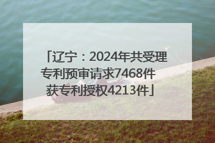 辽宁：2024年共受理专利预审请求7468件 获专利授权4213件