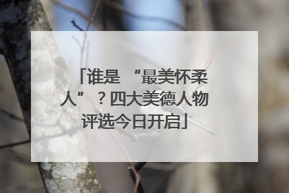谁是 “最美怀柔人”？四大美德人物评选今日开启