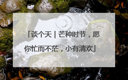 谈个天｜芒种时节，愿你忙而不茫，小有清欢