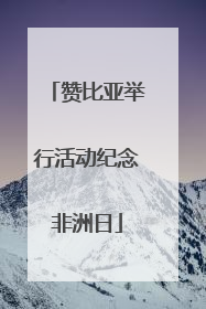 赞比亚举行活动纪念非洲日
