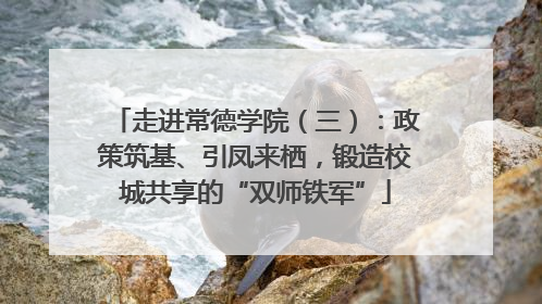 走进常德学院（三）：政策筑基、引凤来栖，锻造校城共享的“双师铁军”