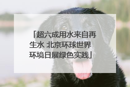 超六成用水来自再生水 北京环球世界环境日展绿色实践