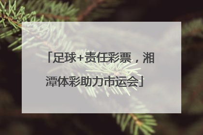 足球+责任彩票，湘潭体彩助力市运会