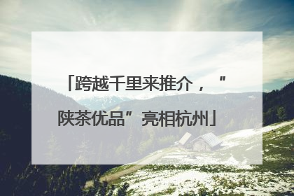 跨越千里来推介，“陕茶优品”亮相杭州