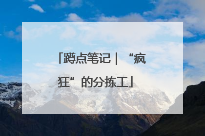 蹲点笔记｜“疯狂”的分拣工