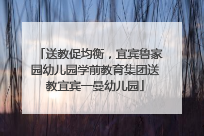送教促均衡，宜宾鲁家园幼儿园学前教育集团送教宜宾一曼幼儿园