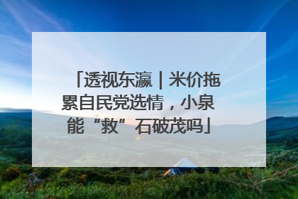 透视东瀛｜米价拖累自民党选情，小泉能“救”石破茂吗
