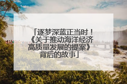 逐梦深蓝正当时！《关于推动海洋经济高质量发展的提案》背后的故事