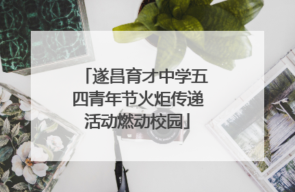 遂昌育才中学五四青年节火炬传递活动燃动校园