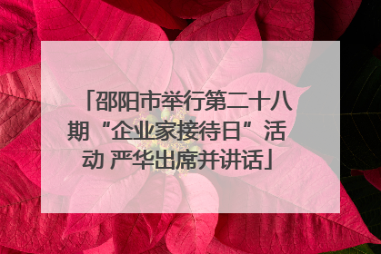 邵阳市举行第二十八期“企业家接待日”活动 严华出席并讲话