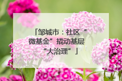 邹城市：社区“微基金”撬动基层“大治理”