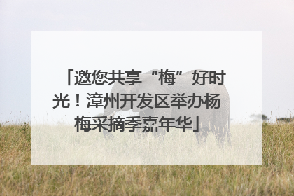 邀您共享“梅”好时光！漳州开发区举办杨梅采摘季嘉年华