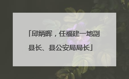 邱炳晖，任福建一地副县长、县公安局局长