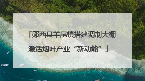 郧西县羊尾镇搭建调制大棚激活烟叶产业“新动能”