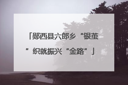 郧西县六郎乡“银茧”织就振兴“金路”