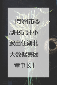 鄂州市委副书记汪小波出任湖北大数据集团董事长