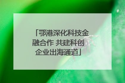 鄂港深化科技金融合作 共建科创企业出海通道