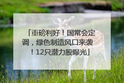 重磅利好！国常会定调，绿色制造风口来袭！12只潜力股曝光