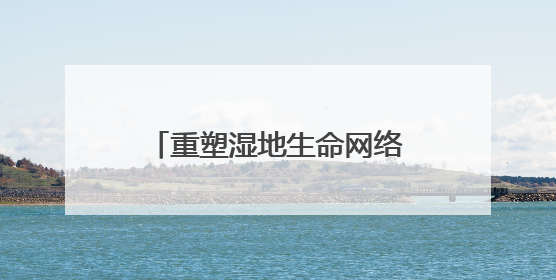 重塑湿地生命网络 赋能乡村“颜值”“产值”双提升