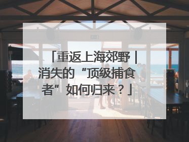 重返上海郊野｜消失的“顶级捕食者”如何归来？